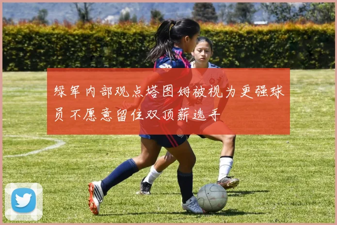 绿军内部观点塔图姆被视为更强球员不愿意留住双顶薪选手