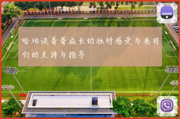 哈珀谈哥哥成长的独特感受与老将们的支持与指导