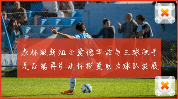 森林狼新组合爱德华兹与三球联手是否能再引进怀斯曼助力球队发展