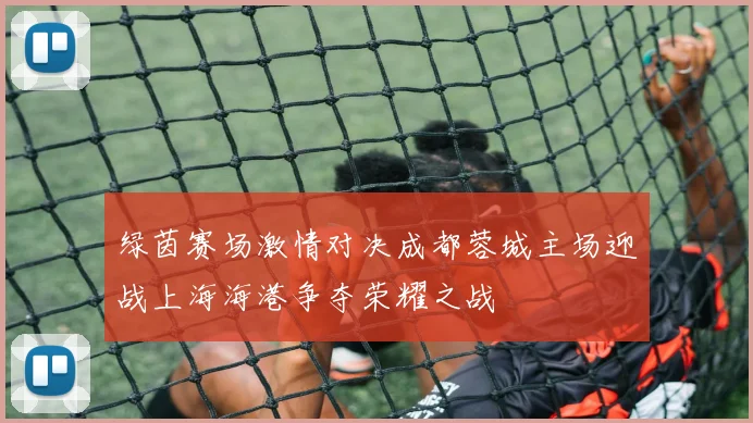 绿茵赛场激情对决成都蓉城主场迎战上海海港争夺荣耀之战